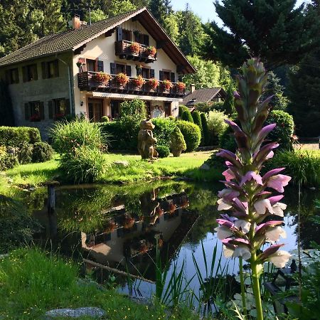 Chambres D'Hotes Des Cascades St-Nicolas 克吕特 外观 照片