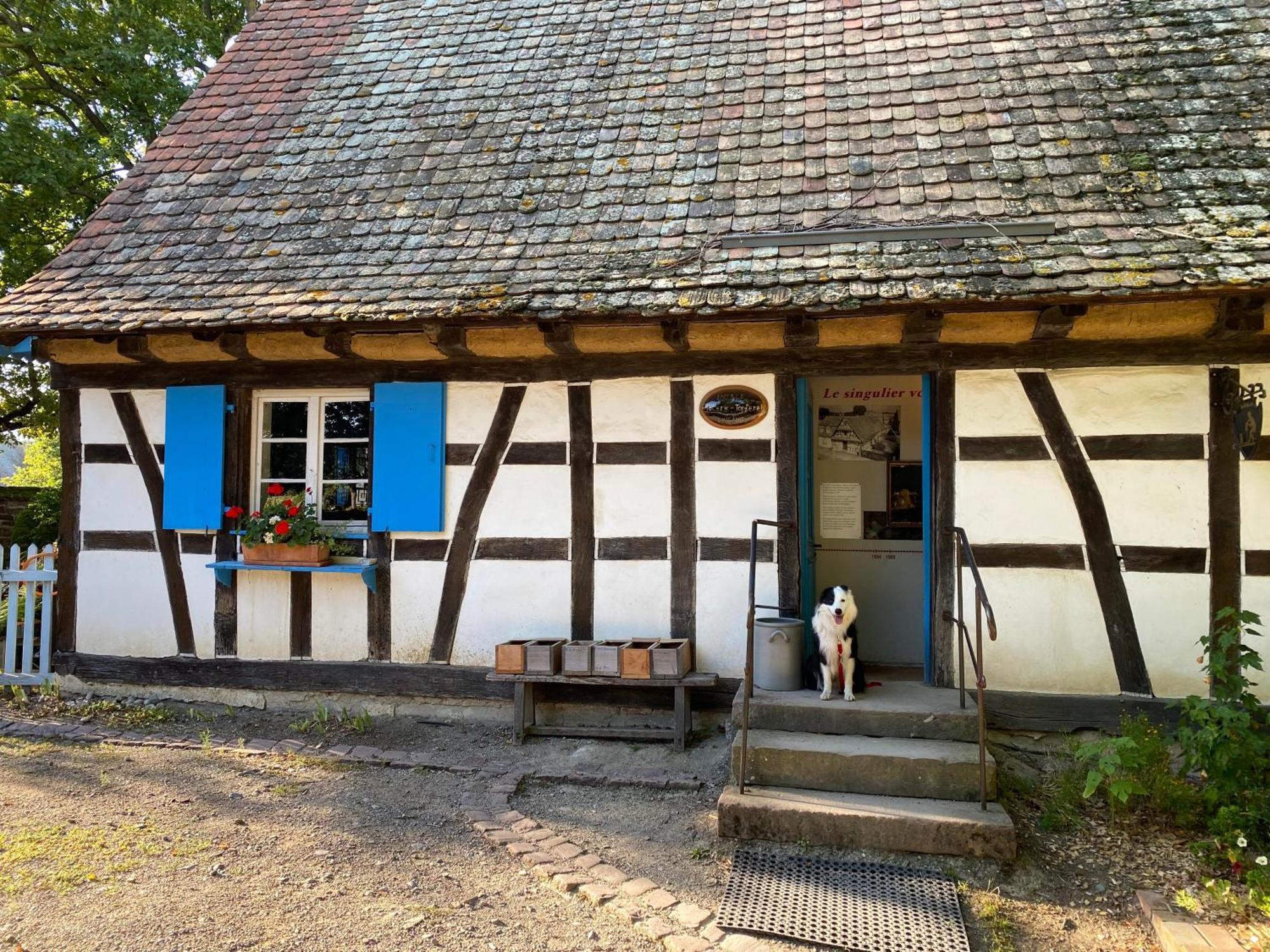 Chambres D'Hotes Des Cascades St-Nicolas 克吕特 外观 照片