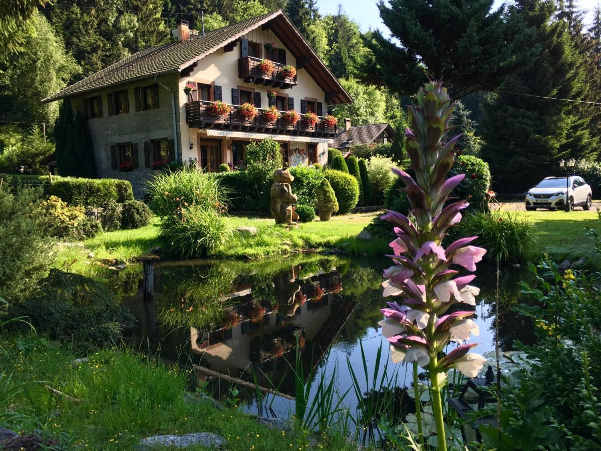 Chambres D'Hotes Des Cascades St-Nicolas 克吕特 外观 照片