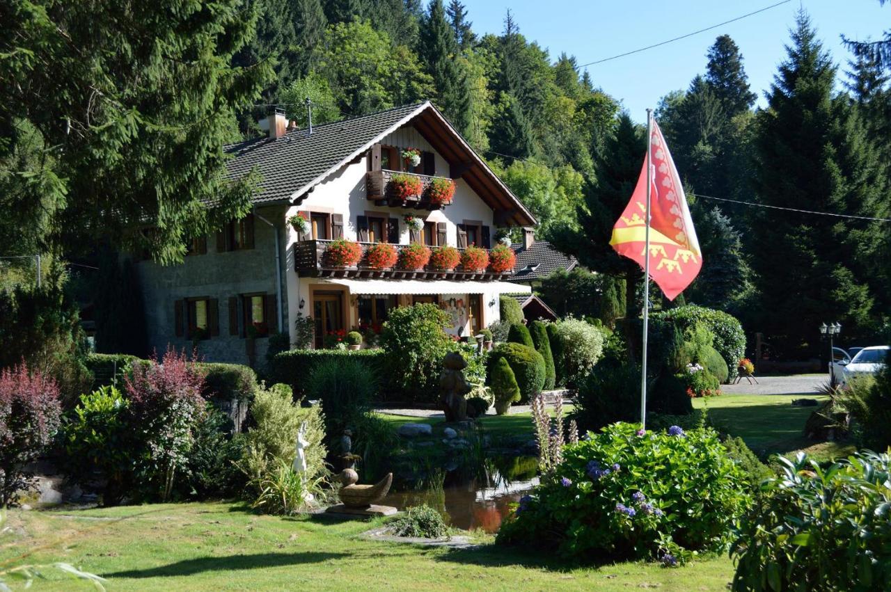 Chambres D'Hotes Des Cascades St-Nicolas 克吕特 外观 照片